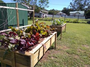 Linville Community Garden raised planter boxes