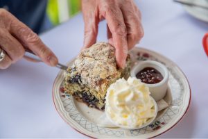 Nash Gallery and Cafe scones with cream and jam