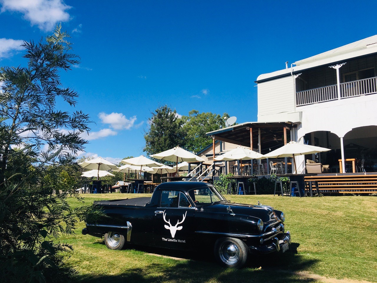 The Linville Hotel vintage car on the lawn
