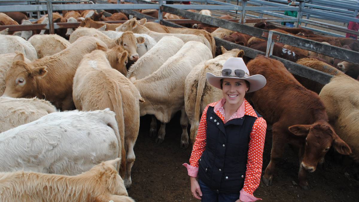 Toogoolawah cattle show