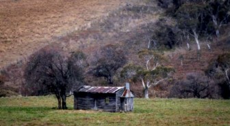 A colour photograph of a rural landscape with green grass and an old and rusty shed and tree in the foreground and a hill with gumtrees in the background