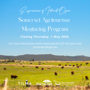 Expressions of Interest Open for Somerset Agritourism Mentoring Program. EOIs close 5pm Thursday, 1 May. Background of photo is blue sky, mountain in the distance and green paddock with cows and hay bales in the foreground