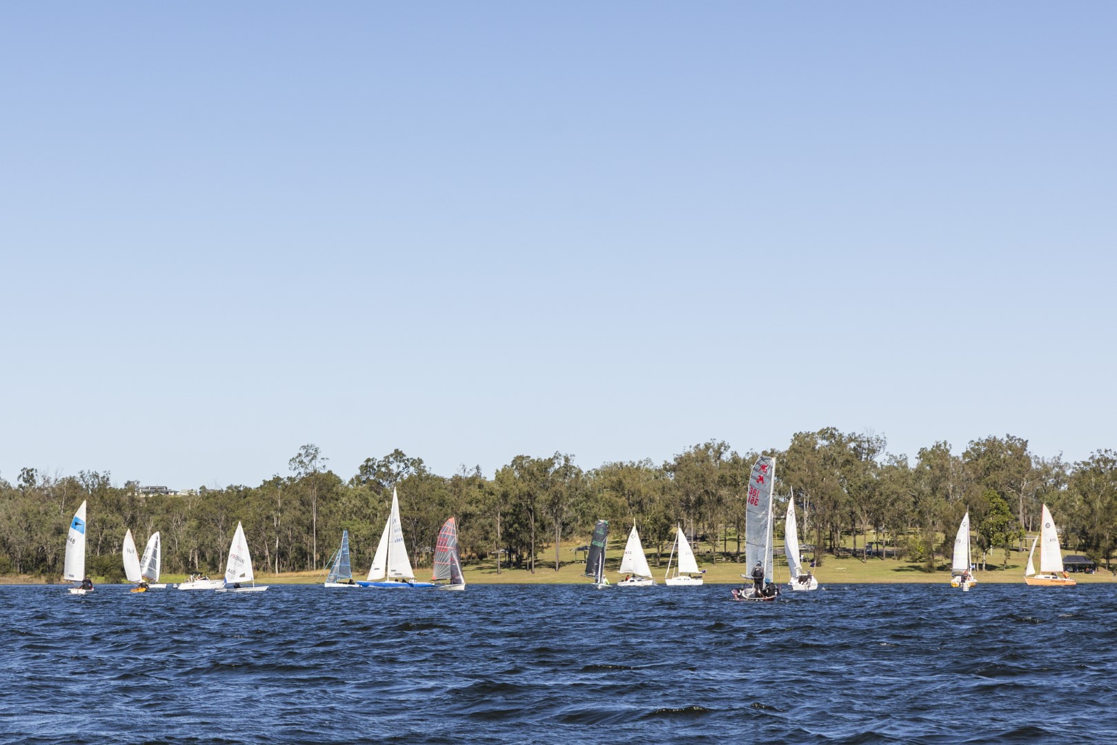 Sailing boats on Lake Wivenhoe. Blue skies and blue lake with a tree lined shore in the background.