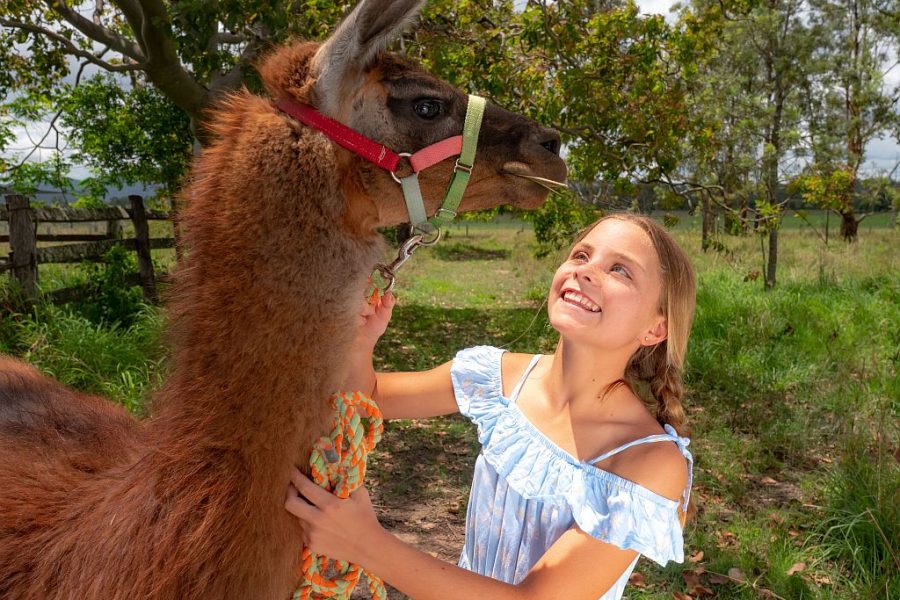 Girl smiling looking up at a brown llama, while patting its neck.