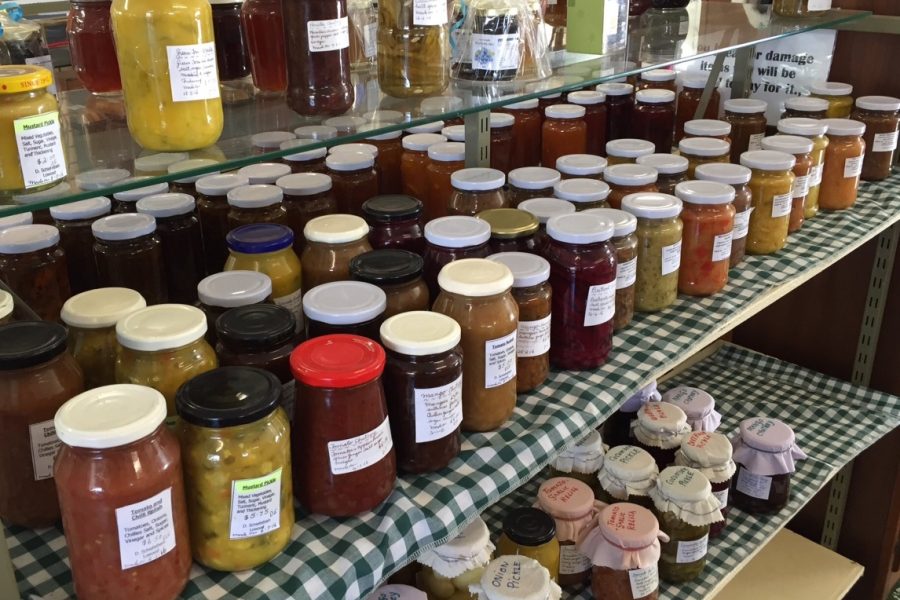 Folk Art Cooperative jams
