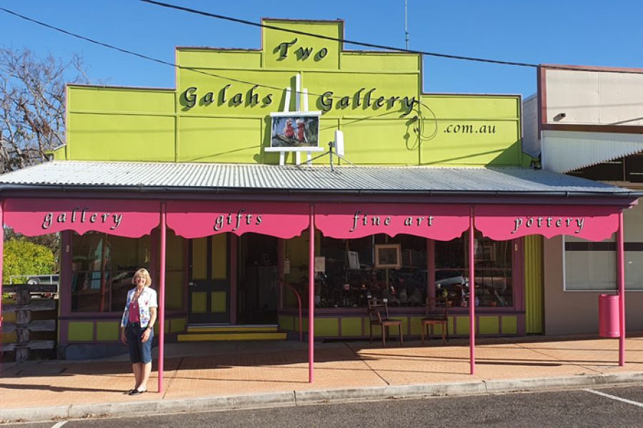 Two Galahs Gallery street view