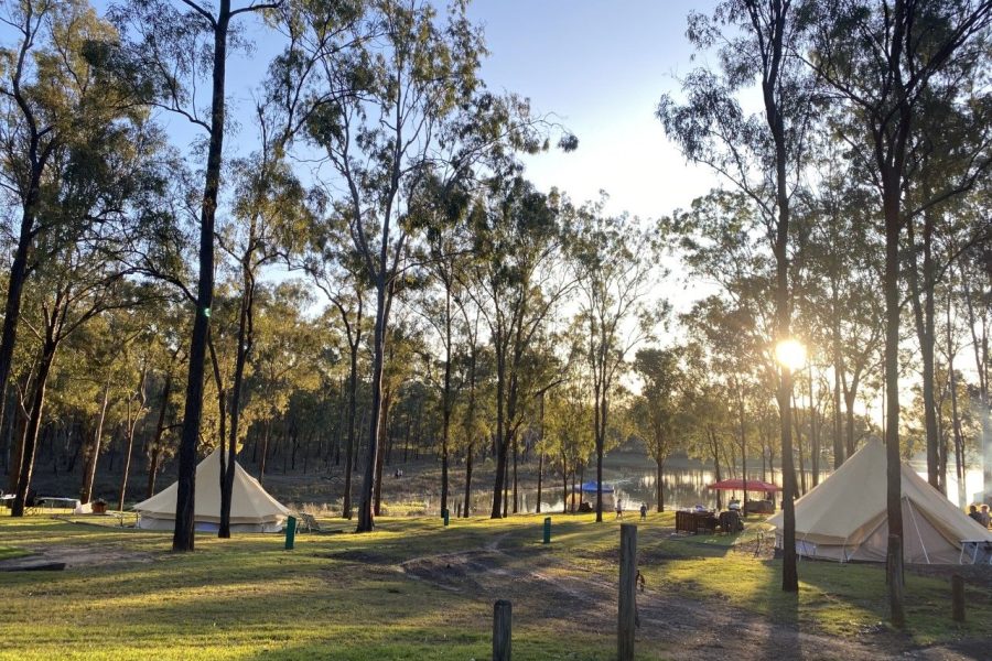 Lake Wivenhoe Campgrounds - bushland with lake in the background. Glamping tents scattered throughout the bush. Blue sky can be seen through the tall gumtrees.