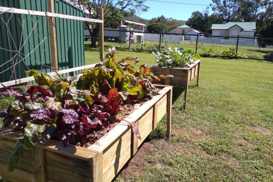 Linville Community Garden raised planter boxes