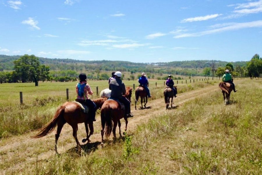 A group of horse riders enjoying the Brisbane Valley Rail Trail country side on a horse ride. It is a sunny day with blue skies and a few white clouds.