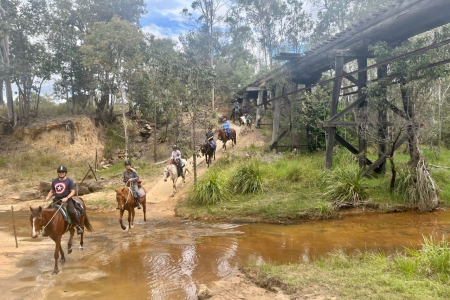 A line of horse riders crossing a shallow creek in single file along the Brisbane Valley Rail Trail, surrounded by Australian bush. An old wooden railway bridge is in the background on the right side.