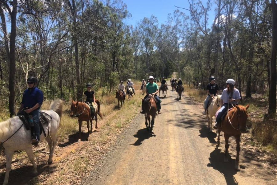 Nash Horse Trekking