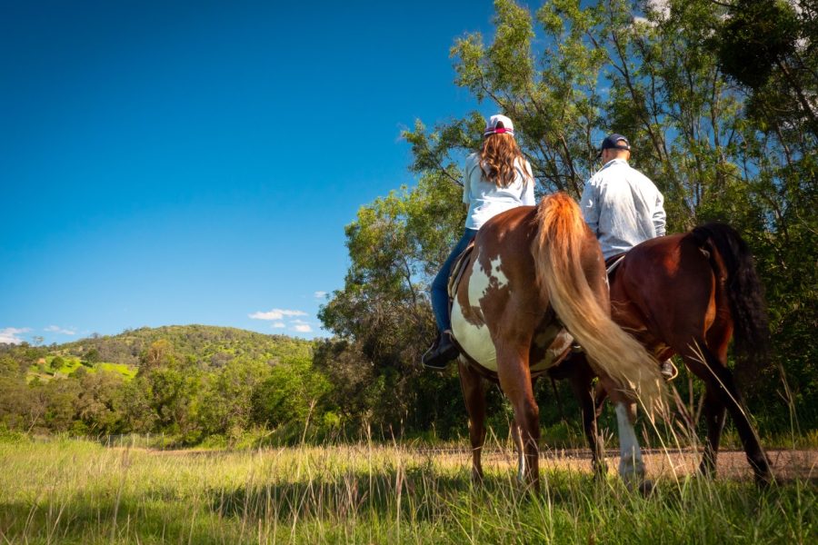 Nash Horse Riding