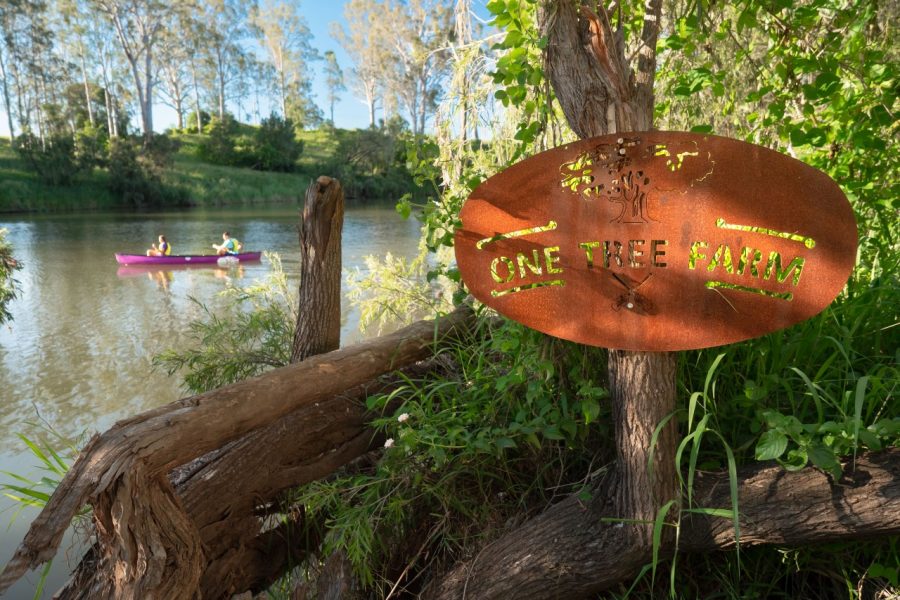 One Tree Canoe Company