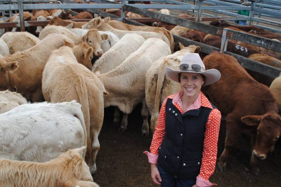 Toogoolawah cattle show