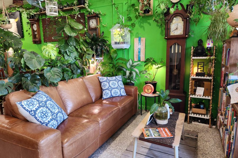 Inside the Tree Change Cafe. Bright green wall, comfy leather couch, plants, grandfather clock up against the wall